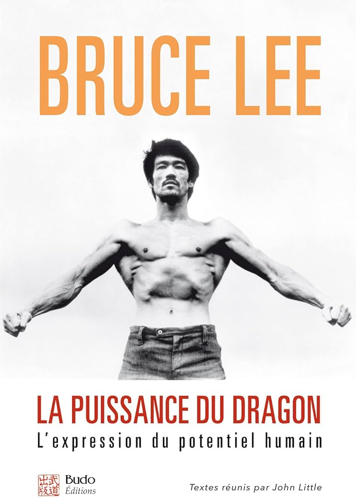 Livre: La puissance du Dragon